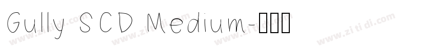 Gully SCD Medium字体转换